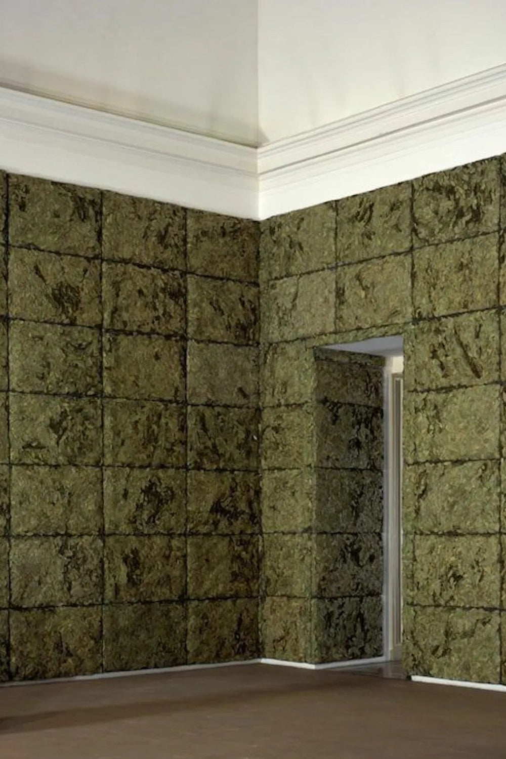 Room with textured green walls and a single vase on the floor. Giuseppe Penone